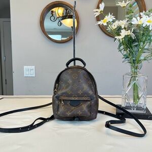 Louis Vuitton Monogram Canvas Mini Palm Spring Backpack